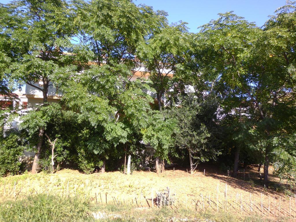 Apartments Kresimir Beauty With Shadow Trees And Parking Place Pag Town Eksteriør bilde