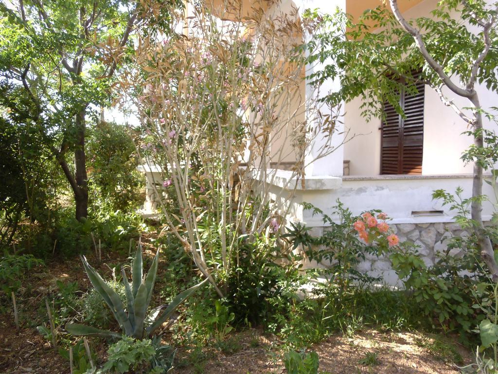 Apartments Kresimir Beauty With Shadow Trees And Parking Place Pag Town Rom bilde